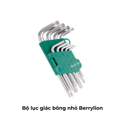 Bộ lục giác bông nhỏ Berrylion
