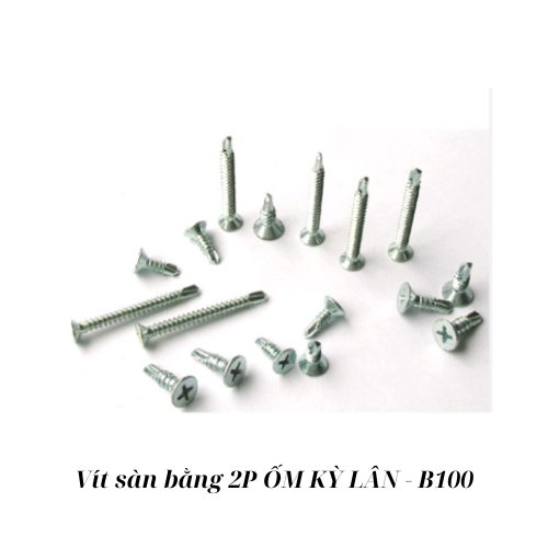 Vít sàn bằng 2P ỐM KỲ LÂN - B100